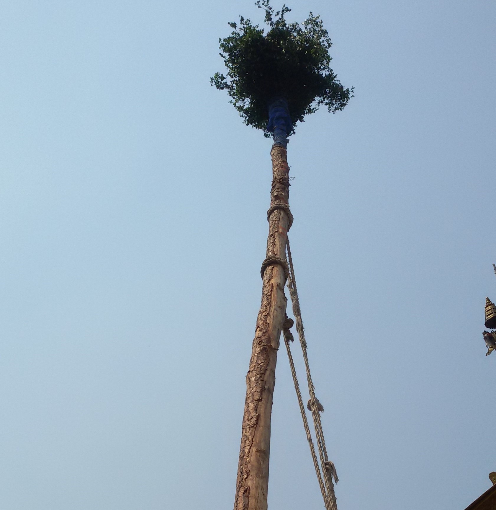 बिस्का जात्राअन्तर्गत हात नभएको लिंगो ठड्याइयो