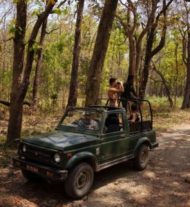 चितवन राष्ट्रिय निकुञ्जमा जङ्गल ड्राइभमा रोक