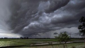 मनसुन पूर्वतयारी तथा प्रतिकार्य राष्ट्रिय कार्य योजना स्वीकृत