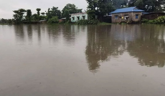 सुनसरी र मोरङका एक दर्जनभन्दा बढी बस्ती डुबानमा