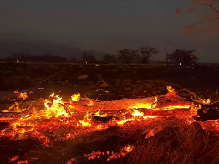 अमेरिकाको हवाइ राज्यमा डढेलोबाट ५३ जनाको मृत्यु