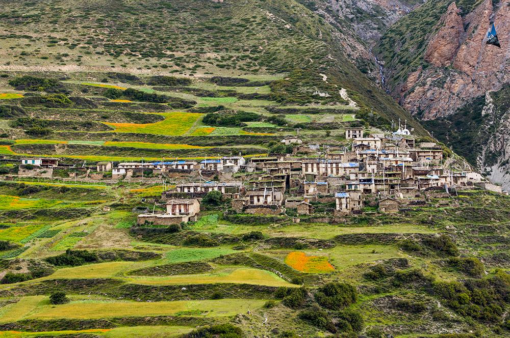 तिकंर हिँडेका जनप्रतिनिधिलाई भारतीय सुरक्षा बलको निषेध