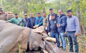  “हाम्रा ज्वाइँ राजाको दाह्रा काटिएको खबरले हामी दुःखी छौँ”