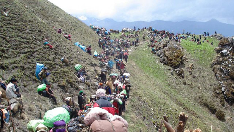 यार्सा संकलन गर्न गएका तीनजनाको लेक लागेर मृत्यु