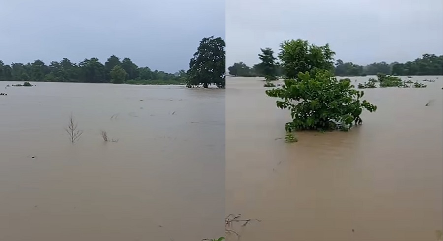 मोहना नदीमा बाढी, सतर्कताका लागि आग्रह