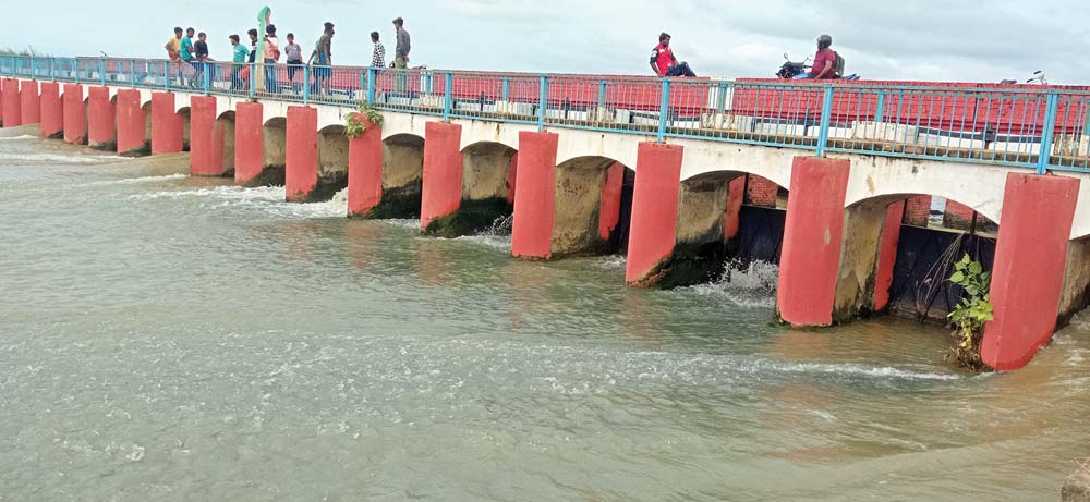 भारतीय महलीसागर बाँधका कारण चार सय हेक्टर धान खेती डुबानमा