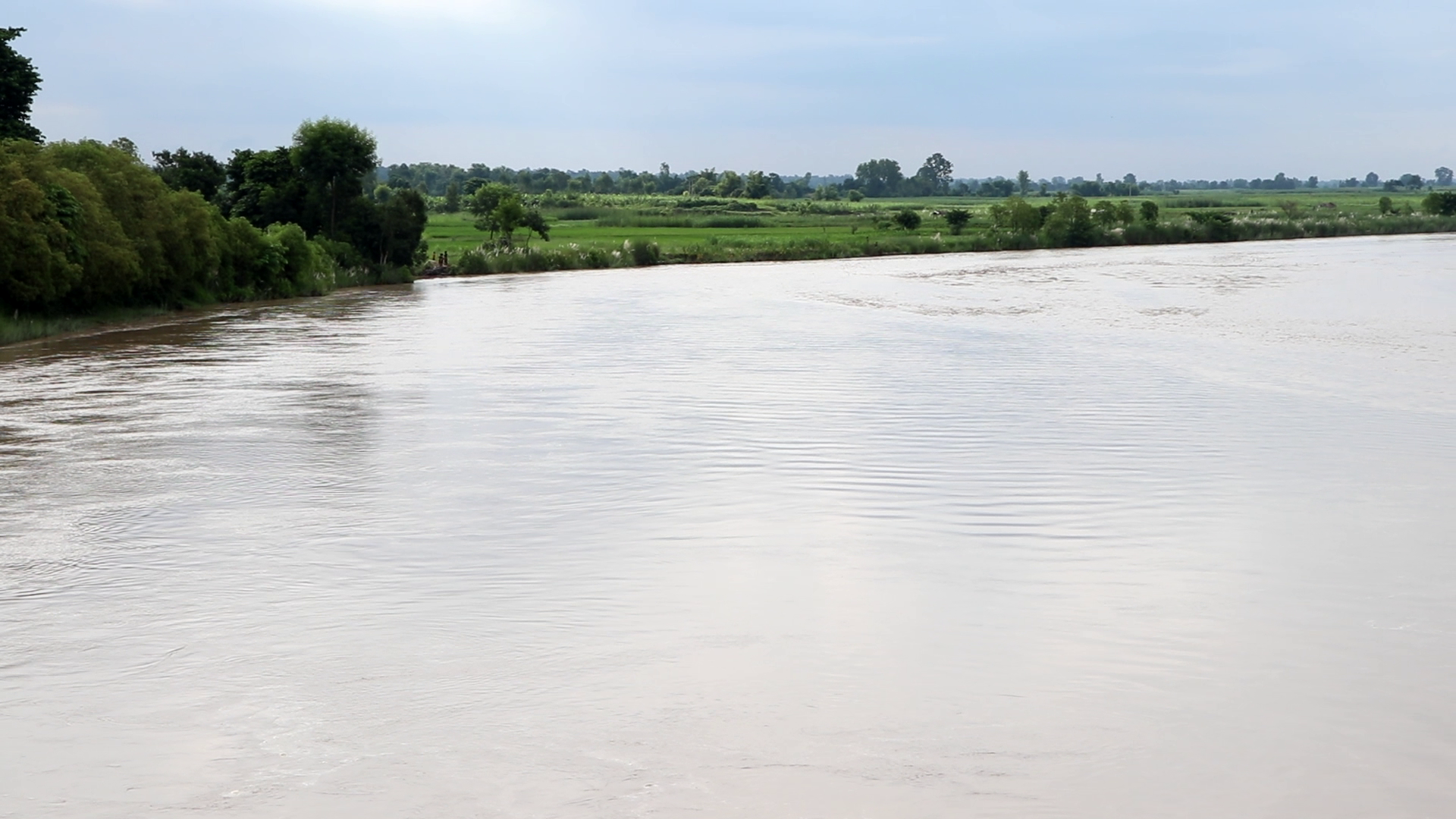 कञ्चनपुरको दोला नदीमा जल सतहले सतर्कता तह पार