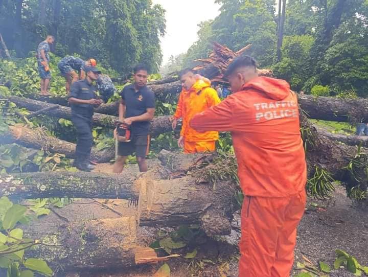 रूख ढल्दा नारायणगढ–मुग्लिन सडक अवरुद्ध