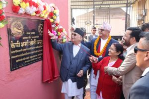 बाँदरे प्रवृत्तिले देश बन्दैन : प्रधानमन्त्री ओली