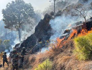 पाल्पामा डढेलोबाट चार सामुदायिक वनमा क्षति